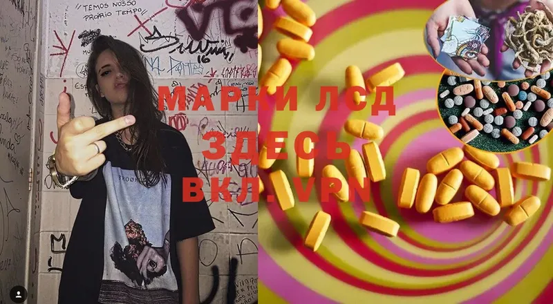 LSD-25 экстази ecstasy  купить наркотики сайты  Нефтекумск 